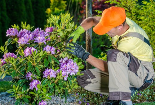 Crew member collecting green waste at a Lewisham garden site