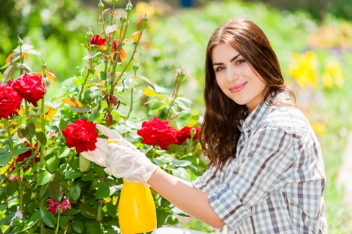 A young woman with long brown hair, dressed in a light checkered shirt, is gardening outdoors in a lush green garden, using a yellow spray bottle to water or treat vibrant red roses and surrounding plants. The garden features a variety of flowering bushes, including the roses, with dense green foliage and colorful blooms, set against a background of trees and multiple layers of plantings. The sunlight filters through the leafy canopy, illuminating the scene with natural light, suggesting a bright, clear day. The garden layout displays well-maintained flower beds with soil borders, and a mix of shrubbery and flowering plants arranged to create a vibrant, inviting outdoor space. This scene reflects professional landscaping and garden maintenance practices typical of Lewisham, with the presence of healthy, lush plants and neatly arranged planting beds. The woman’s gardening activity shows attentive plant care focused on flower cultivation, aligning with services provided by Garden Maintenance Lewisham, which specializes in enhancing garden aesthetics and health in the local area. The overall environment exudes a peaceful, flourishing backyard or front garden setting, emphasizing the importance of outdoor maintenance and horticultural care in urban and suburban spaces in Lewisham, London, postal code SE London.