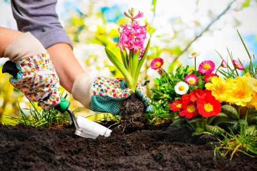 A person wearing gardening gloves is planting a pink hyacinth flower into dark, freshly turned soil in a garden bed. Next to the planting area, there is a vibrant array of flowers, including yellow, red, white, and pink blooms, arranged along the edge of a flower bed. The background shows a blurred natural setting with green foliage and a bright, sunny sky, indicating a clear, pleasant day. The garden appears well-maintained with neatly defined flower beds and rich soil, characteristic of typical outdoor landscaping in Lewisham. This scene highlights gardening activities like planting and flower bed preparation, which are part of professional garden maintenance services offered by Garden Maintenance Lewisham, focused on enhancing the natural beauty of outdoor spaces in the area.