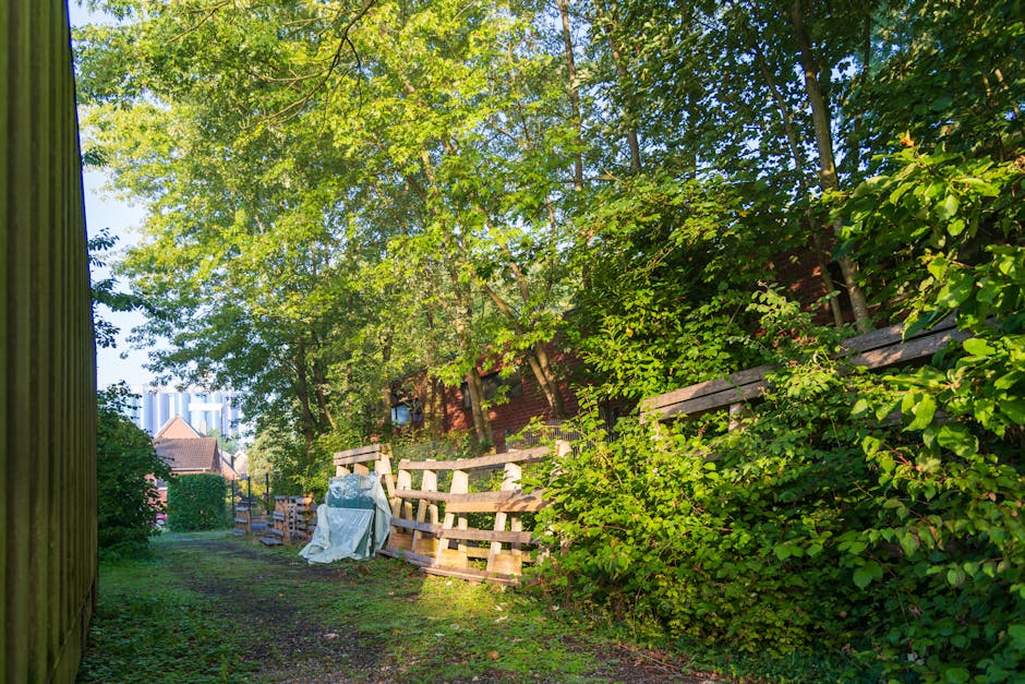 A narrow garden pathway surrounded by lush green trees and dense shrubbery, with a weathered wooden fence on the right side and a tall wooden fence on the left. The ground is covered with patchy grass