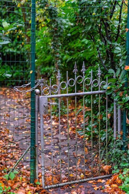 A narrow garden pathway surrounded by lush green trees and dense shrubbery, with a weathered wooden fence on the right side and a tall wooden fence on the left. The ground is covered with patchy grass